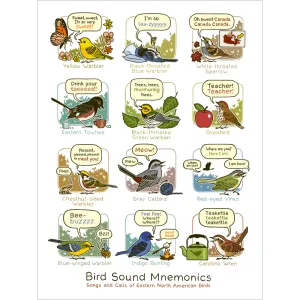 Bird Sound Mnemonics Print (Eastern)