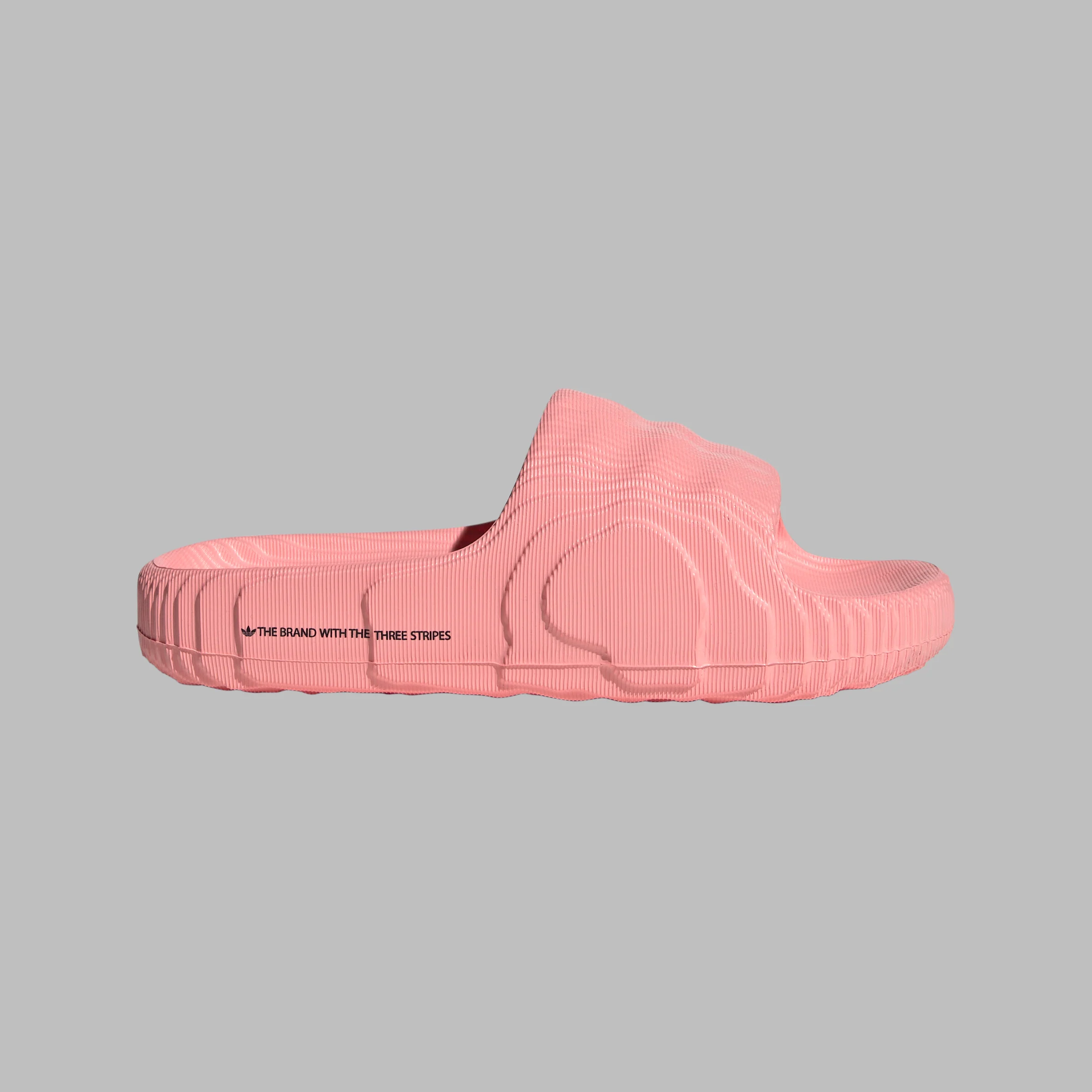 ADILETTE 22 כפכפים