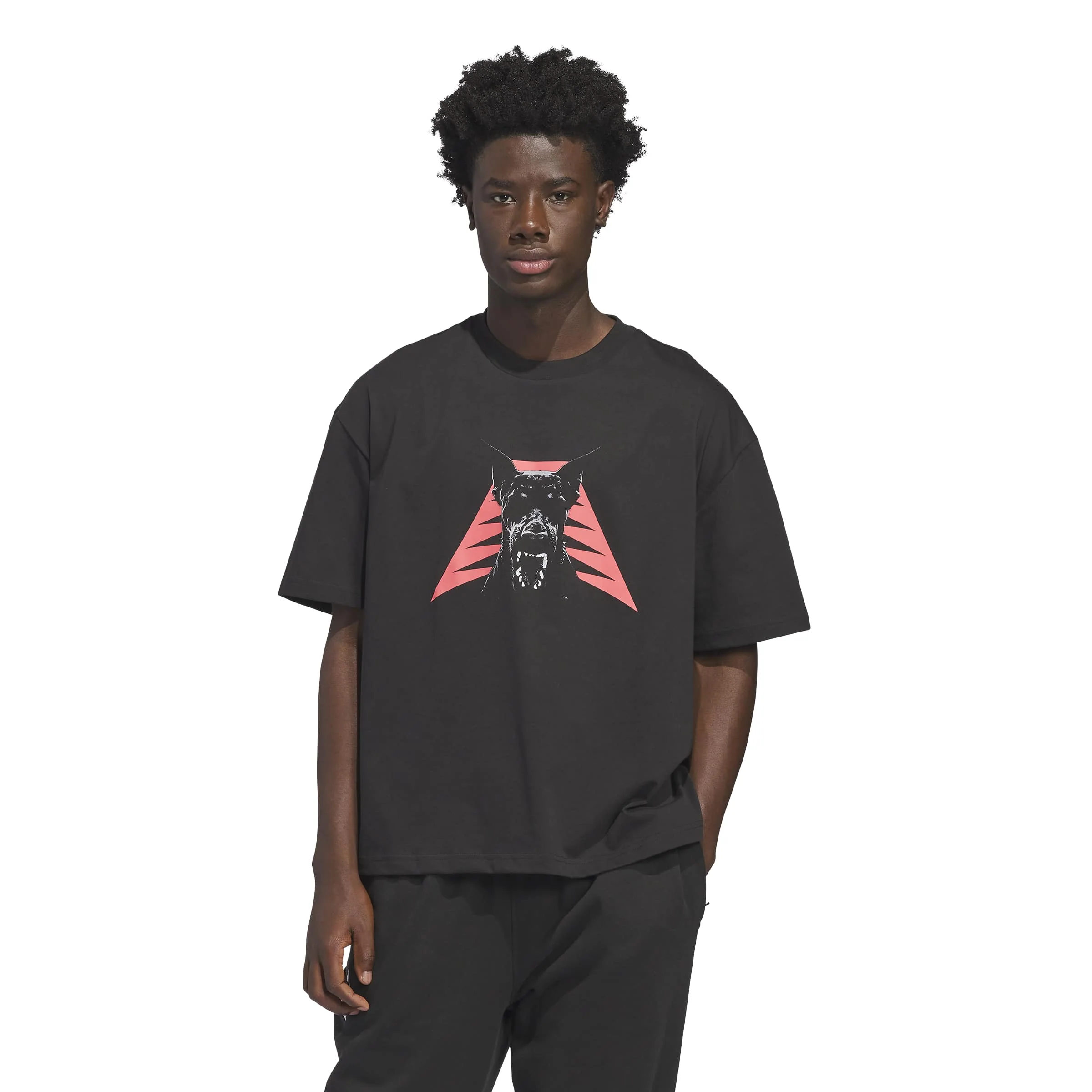 ANTED DAWG TEE טי שירט - Image 3